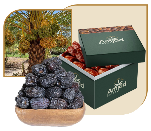 Amjad Dates